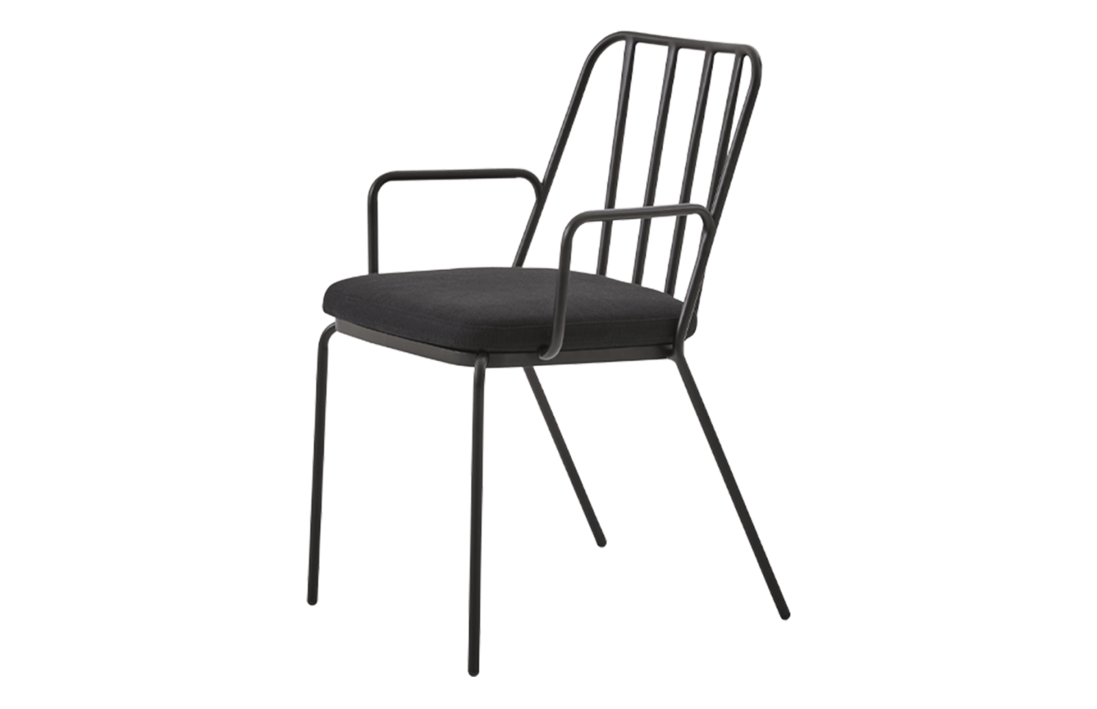 Palm A Chair Indoor