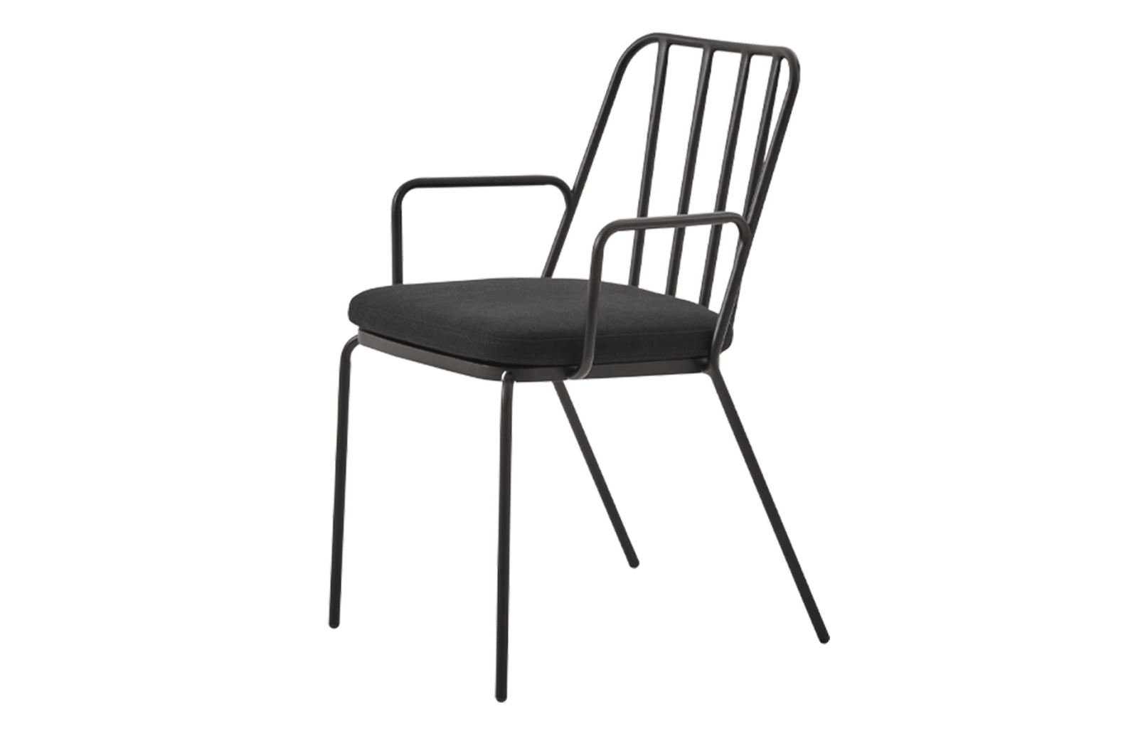 Palm A Chair Outdoor